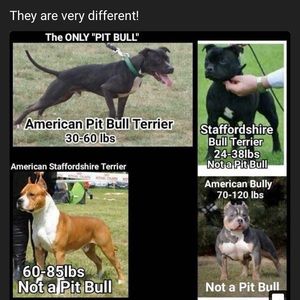 Meet your Posher, Tony